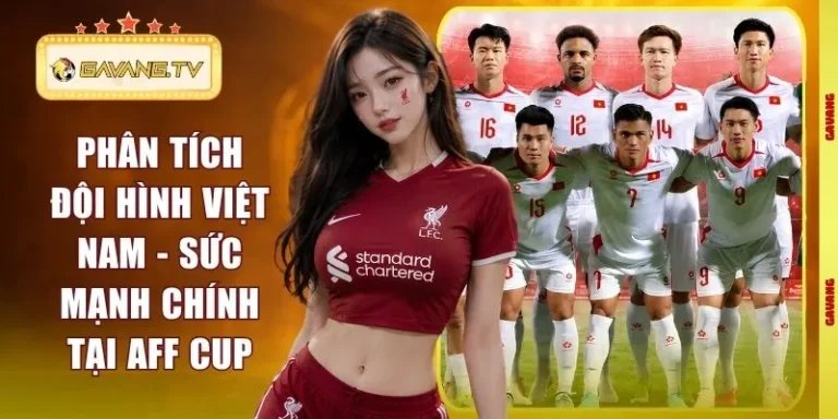 Phân tích đội hình Việt Nam